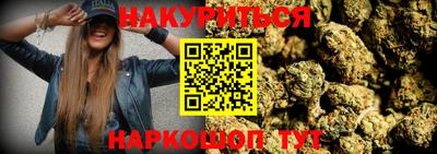 молекула духа Будённовск
