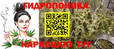 молекула духа Будённовск