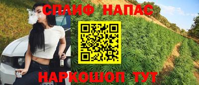 молекула духа Будённовск