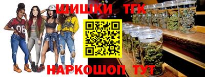молекула духа Будённовск