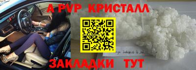 молекула духа Будённовск